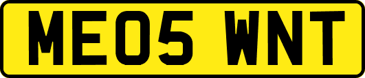 ME05WNT