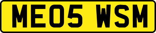 ME05WSM