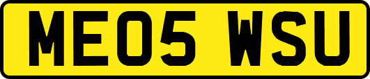 ME05WSU