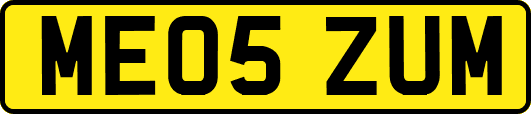 ME05ZUM