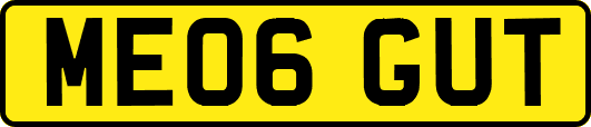 ME06GUT