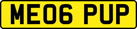 ME06PUP