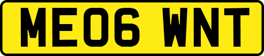 ME06WNT