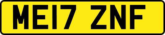 ME17ZNF