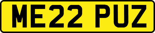 ME22PUZ