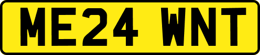 ME24WNT