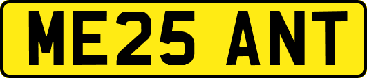 ME25ANT