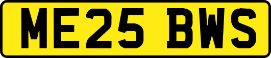 ME25BWS
