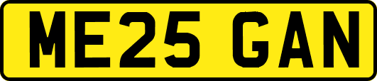 ME25GAN