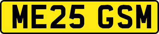 ME25GSM