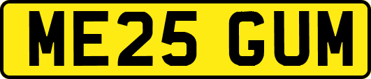 ME25GUM