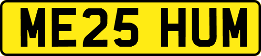 ME25HUM