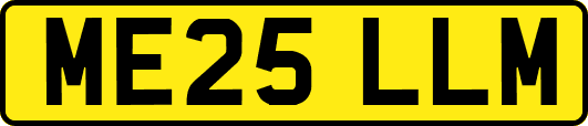 ME25LLM