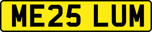 ME25LUM