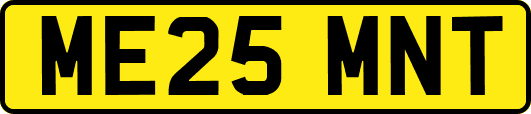 ME25MNT