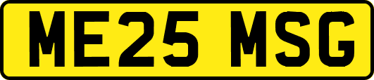 ME25MSG
