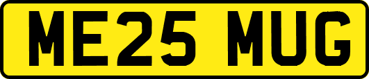 ME25MUG