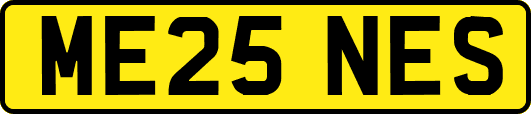 ME25NES