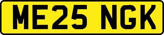 ME25NGK
