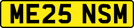 ME25NSM