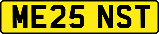 ME25NST