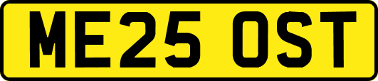 ME25OST