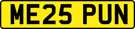 ME25PUN