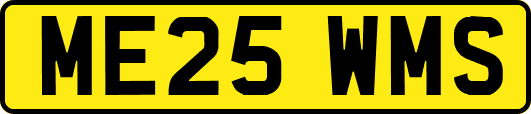 ME25WMS