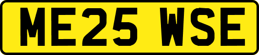 ME25WSE