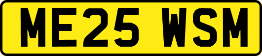 ME25WSM