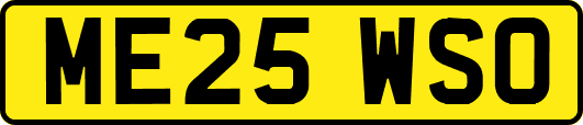 ME25WSO