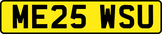 ME25WSU