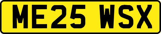 ME25WSX