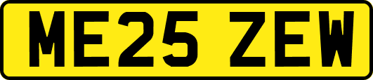 ME25ZEW