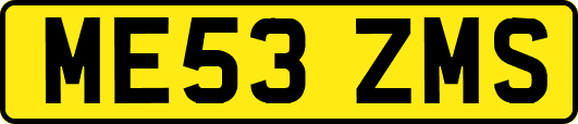 ME53ZMS