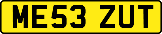 ME53ZUT