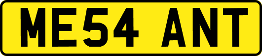 ME54ANT