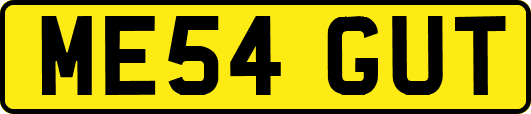 ME54GUT