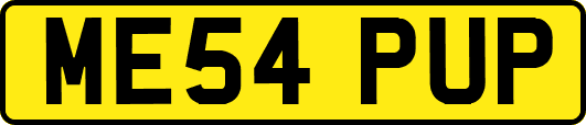 ME54PUP