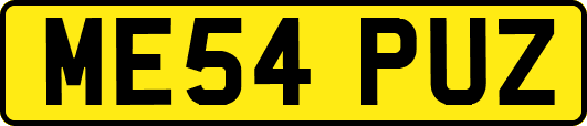 ME54PUZ