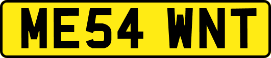 ME54WNT