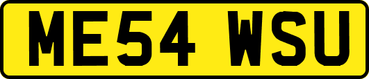 ME54WSU