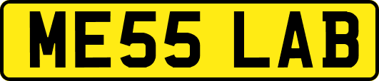 ME55LAB