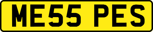 ME55PES
