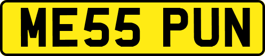 ME55PUN