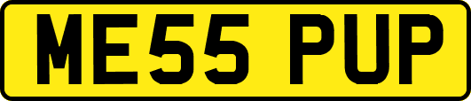 ME55PUP