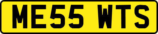 ME55WTS