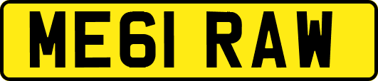 ME61RAW