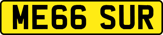 ME66SUR