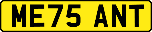 ME75ANT